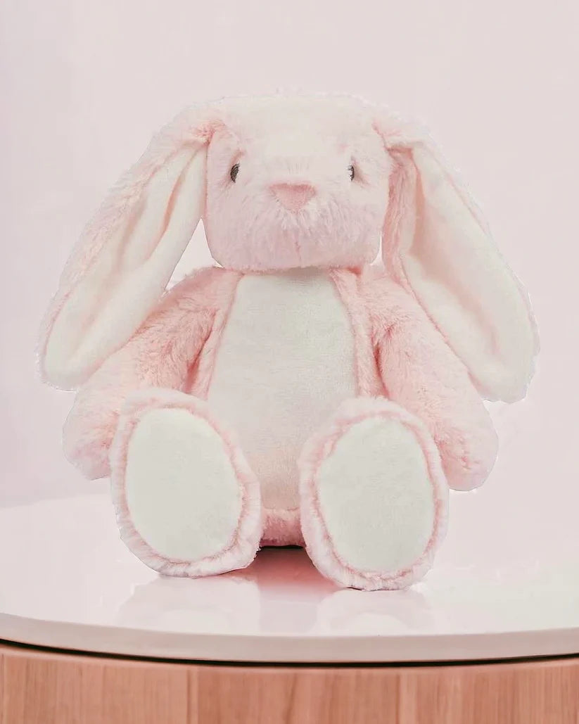 Personalised Baby Scan Bunny